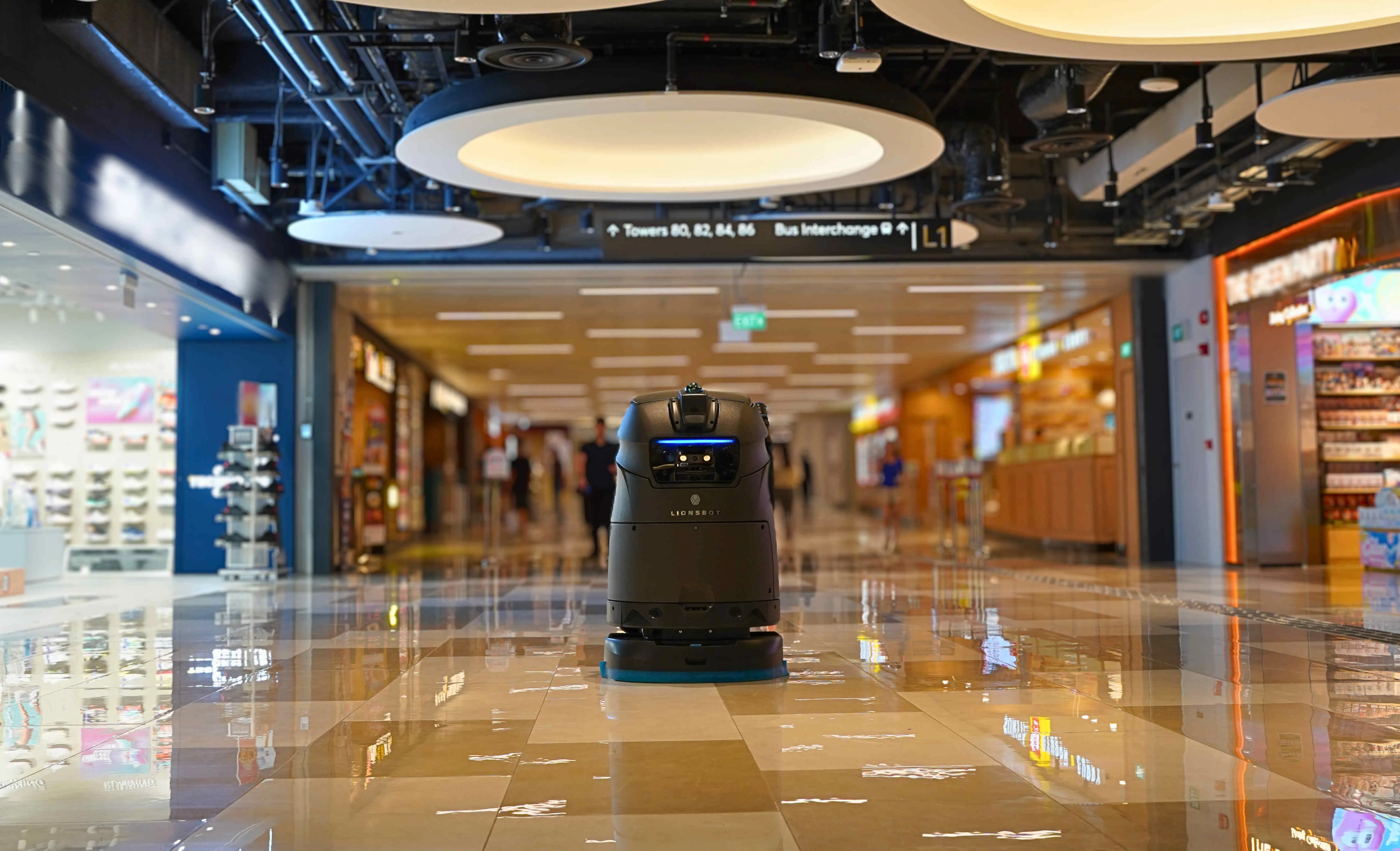 Lionsbot R5 w akcji